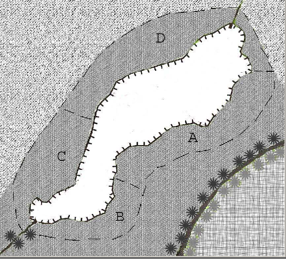 5.8.2 Börringe Börringedammen delades in i zoner efter gåsobservationer och vegetationstyper: A B C D Areal (m 2 ) 15440 6636 4815 9954 Fig.