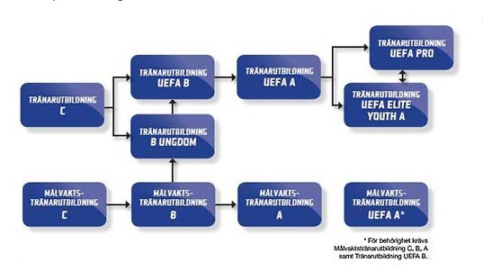 Av bifogad bild framgår hur Svenska Fotbollförbundets nya tränarstege ser ut. Som första kurs och som alla måste gå innan man väljer spår är en kurs som heter SvFF C-diplom.