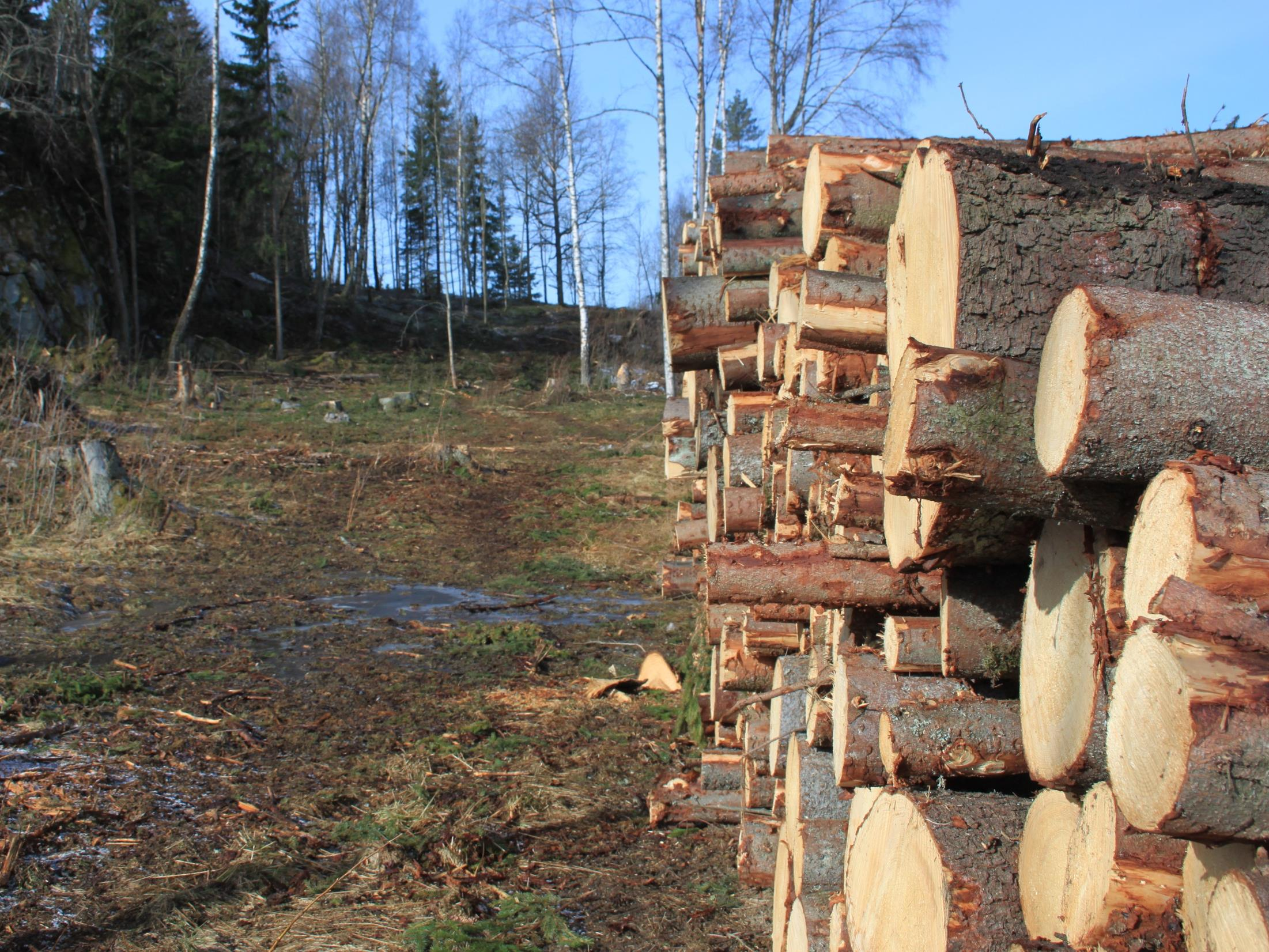 Ett exempel till Fastighetsägare vill avverka skog Anmälan godkänns Skickar in en anmälan Ärendet behöver kompletteras Fastighetsägaren