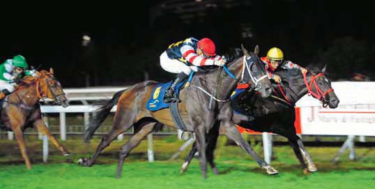 Breeders Trophy Stayer Dark Eagle (närmast kameran) vann Breeders Trophy Classic 205 före Manacor, som startar i BT Mile idag.