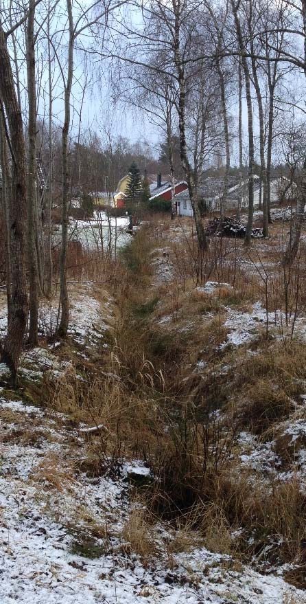 Strandskydd Syftet med strandskyddet är att långsiktigt säkra allmänhetens tillträde till stränderna och att bevara goda livsvillkor för djur- och växtlivet på land och i vatten.