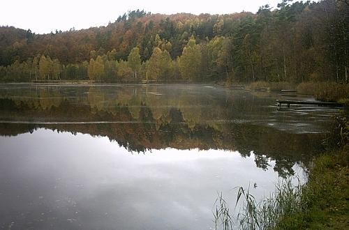 Åsljungasjön livskvalitet på riktigt Projekt: Upprustning och anpassning av en befintlig led runt Åsljungasjön