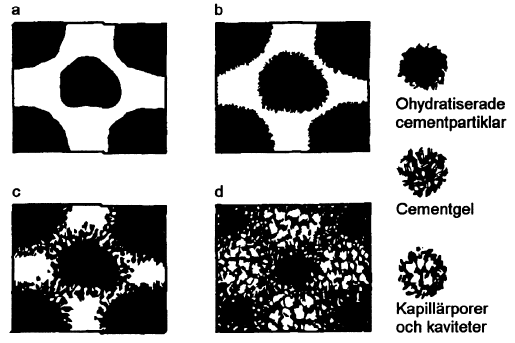 3.0 Kunskapsläge Figur 3.1. Bild (a) illustrerar cemntkorn och vatten som precis blandats.