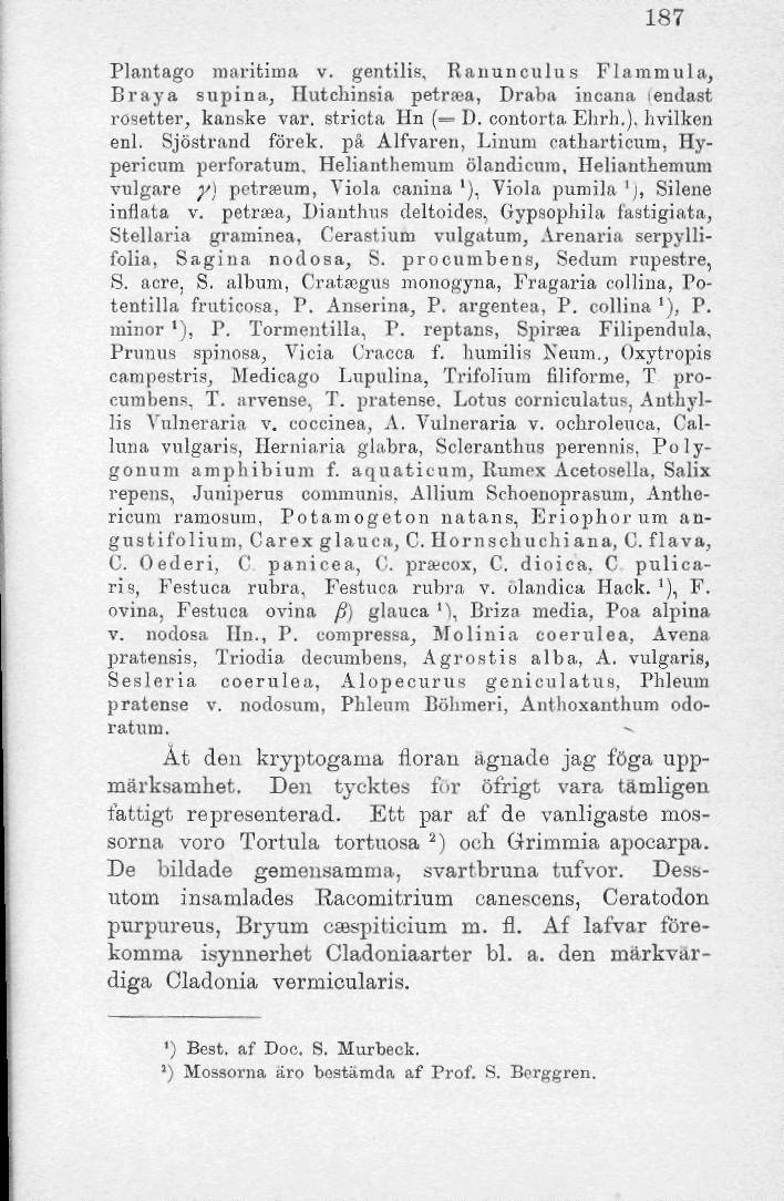 187 Plantago maritima v. gentilis, Raiiunculus Flammula, Braya supina, Hutcliinsia petra?a, Draba incana i endast rosetter, kanske var. stricta Hn (= D. contorta Ehrh.). hvilkon enl. Sjöstrand förek.