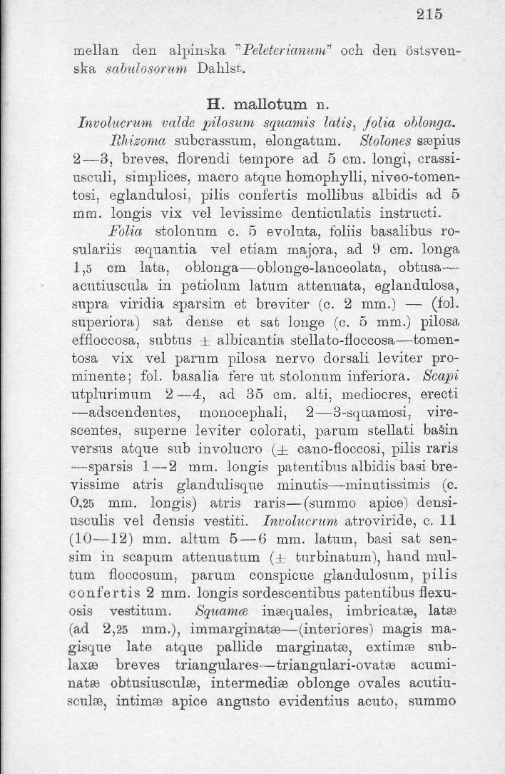 215 mellan den alpinska "Peleterianum" och den östsvenska sabulosorum Dahlst. H. mallotum n. Involucrum valde pilostim squamis lalis, folia ohiotiga. Bhizoma stibcrassum, elongatura.