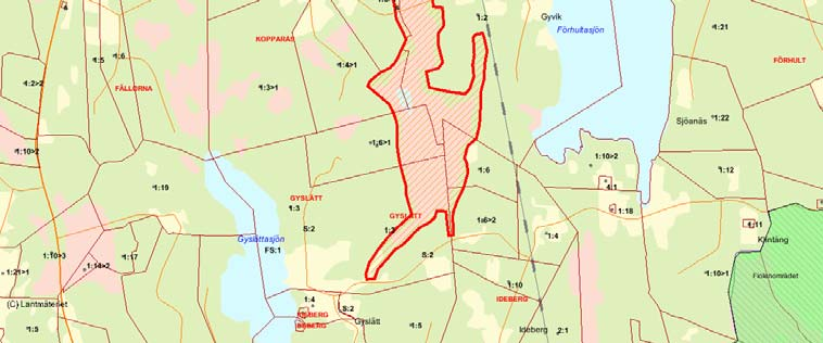 Länsstyrelsens bedömning Både i våtmarksinventeringen och i länets naturvårdsprogram har Kopparåsmyren tilldelats högsta klass. Dessutom är området av riksintresse för naturvården.