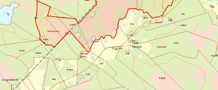 Länsstyrelsens bedömning Det centrala myrområdet ingår i nätverket Natura 2000 och så gott som hela området ingår i utpekandet av skyddsvärda statliga skogar.