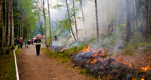 Botkyrkas naturvärden Botkyrkas gröna värden, 2010 Den övergripande synen på Botkyrkas naturvärden uttrycks i kommunens naturvårdsprogram.