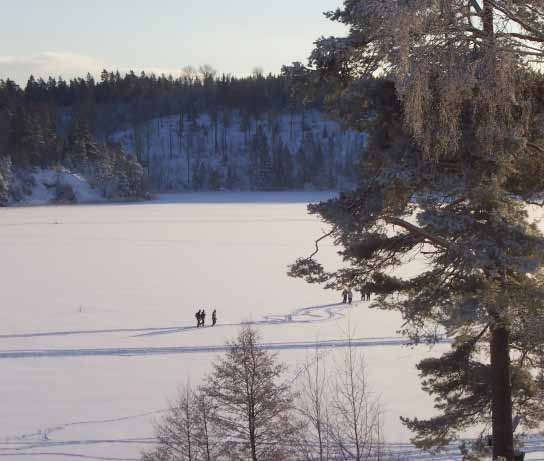 Inriktningsprogram för friluftsområdet Lida Riksten, 2006 Grönt aktivitetsrum Storstadsnaturen utanför, i direkt anslutning till stadsbygden har en uppgift att fylla som aktivitetsrum.