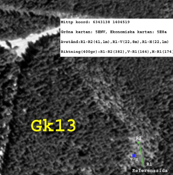 Fig Gk13-1 Ortofotot anger sannolikt R1 med en noggrannhet + - 1-2m från R1. Referensområde: Skogskärr.