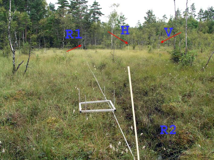 Fig Gk15-1 I fotot till höger (fig Gk15-2) bildar skogskanten ett hörn där R1 placerades, denna plats framstår tydligt även i ortofotot. Kalkat våren 1997 med 26,2 ton/ha granulerad kalk.