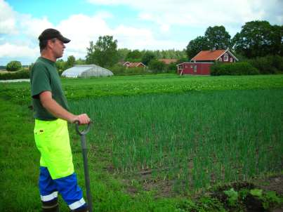 Grönsaksodling - direktförsäljning Gröngödsling Kålväxter Gröngödsling Rödbeta/gurkväxter Gröngödsling Potatis 5 ha, grönsaker, potatis, växthus, fruktodling, värphöns Ekologisk odling