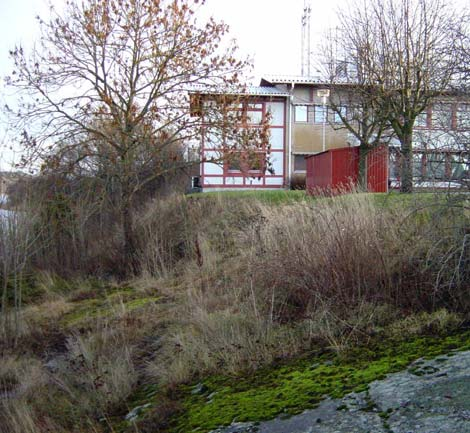 Grönytan vid korsningen Ringvägen-Karlsgatan. Till höger i bild ligger parkeringen. Den norra gränsen för det område som ska ingå i den nya fastigheten läggs i släntfot.