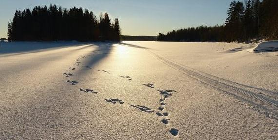 arbetsinsatsen flyttas över området i en riktning under en tidsperiod av ett antal dagar.