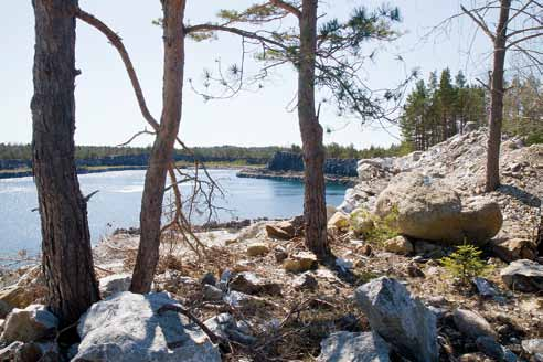 mer behövlig nuförtiden. En anledning är det nedfall av kväve som sker genom nederbörden på grund av utsläpp av kväveoxider från trafiken och förbränningsanläggningar.