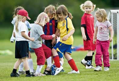 Övriga arbetsområden inom ramen för Idrottslyftet Distriktsidrottsförbunden (DF) har i uppdrag att fördela medel för samarbetsprojekt mellan förening och skola.