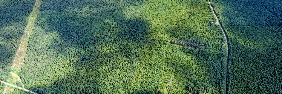 Dnr Ädh 2106/2015 Dnr planmodul: P 2015-49 Bilaga till Detaljplan för del av Lillsjöhögen 2:10 m fl Snedbild över