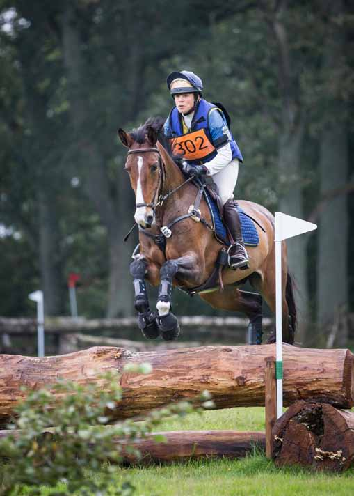 FÄLTTÄVLAN 2014 Breeders Trophy vinnare för 4-åriga hästar ZeeWrench (SWB) e. Firenze u. P. Idola (46)(SWB) Feliciano Martini uppfödare och ägare: Madlen Johansson.