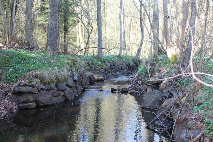 Sträcka 8 Längd: 1132 m Medelbredd: 1,7 m Medeldjup: 0,25 m Botten: Sand Strömförhållande: Svagt strömmande Skuggning: >50% Död ved: Liten förekomst Fysisk påverkan: Försiktig Öringbiotop: Inga