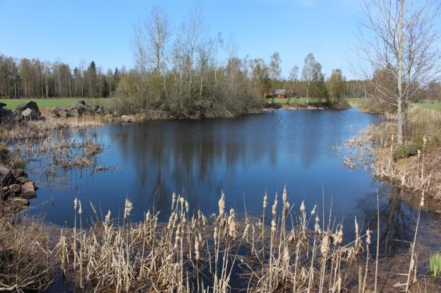 Sträcka 10 Längd: 2618 m Medelbredd: 1,7 m Medeldjup: 0,2 m Botten: Grovdetritus Strömförhållande: Lugnflytande Skuggning: Ingen (0 %) Död ved: Ingen Fysisk påverkan: Omgrävd Öringbiotop: Saknas helt