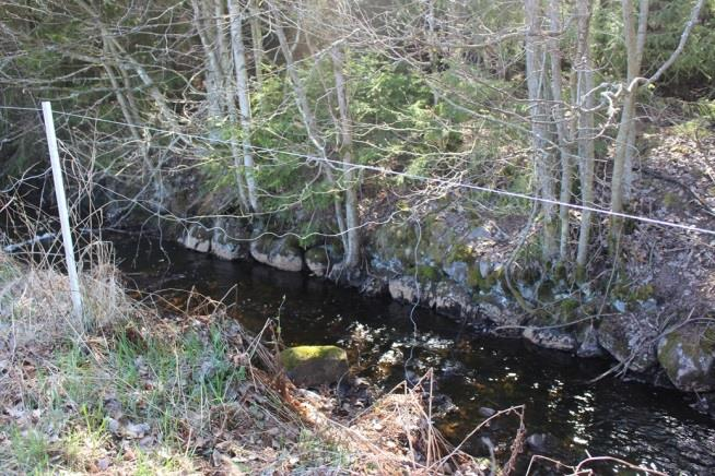 Sträcka 14 Längd: 485 m Medelbredd: 1,7 m Medeldjup: 0,3 m Botten: Grovdetritus Strömförhållande: Svagt strömmande Skuggning: >50 % Död ved: Liten förekomst Fysisk påverkan: Kraftig Öringbiotop: Inga