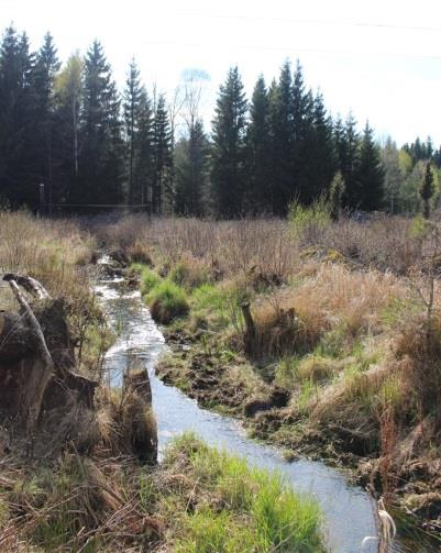 Sträcka 18 Längd: 143 m Medelbredd: 0,8 m Medeldjup: 0,05 m Botten: Sten Strömförhållande: Forsanade Skuggning: 5-50 % Död ved: Måttlig förekomst Fysisk påverkan: Ingen Öringbiotop: Tämligen goda