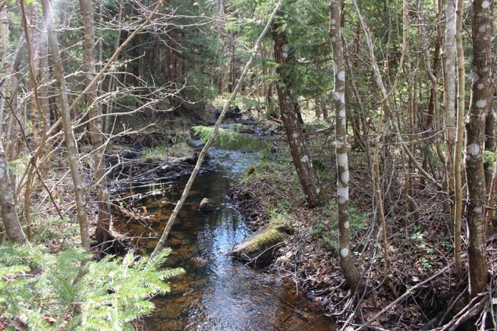 Sträcka 27 Längd: 1960 m Medelbredd: 0,8 m Medeldjup: 0,15 m Botten: Grovdetritus/grus/sten och block Strömförhållande: strömmande Skuggning: >50 % Död ved: Liten förekomst Fysisk påverkan: