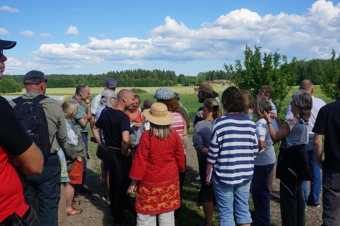 Disposition Ogräs Såteknik och etablering Enkla blandningar eller komplexa