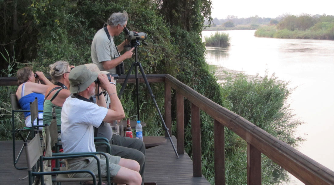 Verandan på Ndhovu Lodge bjöd på fina stunder med spaning över Kavangofloden. Foto: HG Karlsson ningen var helt outstanding med bl.a. följande tunga arter; Whitebacked Night-heron, Rufous-bellied Heron, Slaty Heron och African Skimmer.