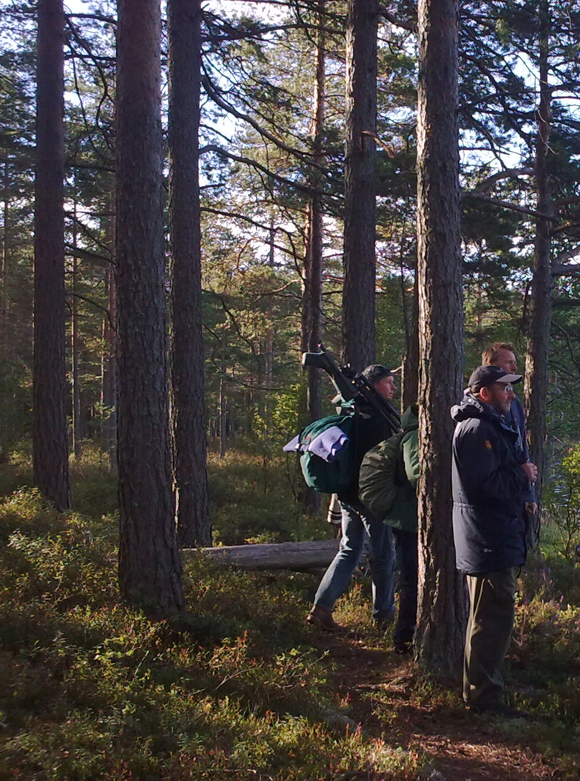 Internationella marknader för svensk naturturism Allt fler utländska turister besöker Sverige. I vilken utsträckning kommer de för att delta i naturbaserade aktiviteter?