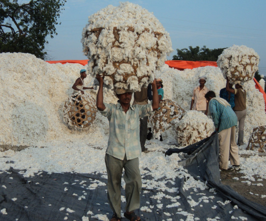 BOMULL 2012 har Hemtex beslutat att bekosta ett projekt i Indien där ytterligare 50 bönder får möjlighet att delta i Better Cottons utvecklingsprogram.