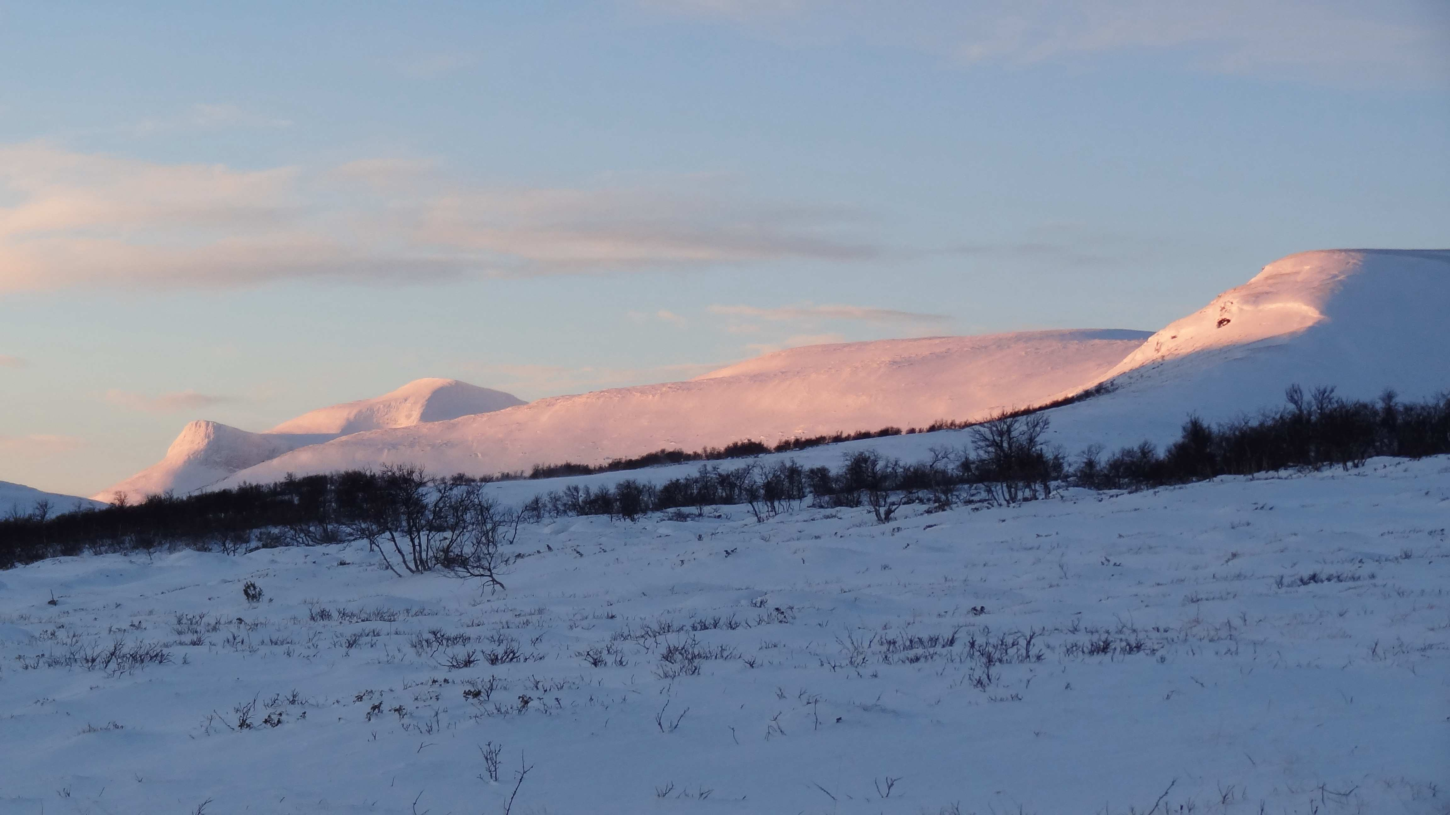 Där vägen slutar, vid foten av Ottfjället, ligger Vålådalens Fjällstation där vi kommer att vara baserade under dessa fyra dagars djupdykning i yoga, frisk luft och natur.