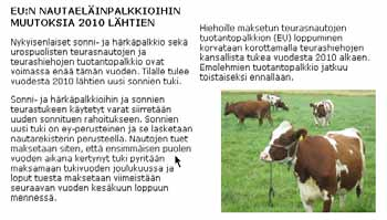 Specialiserade nötuppfödare samlades i Kalajoki Tjurplus-tillfället som hölls i november vid hotell Sani i Kalajoki lockade ca 40 specialiserade nötproducenter från olika delar av Snellmans
