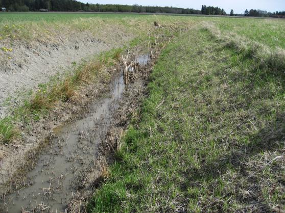 Förslag på motåtgärder I odling och växtföljder N33 E23 U8 Skyddszoner och vegetationsfilter Stallgödsling på våren Gödsling enligt markkarta Växtföljd och mellangröda På fälten Reducerad