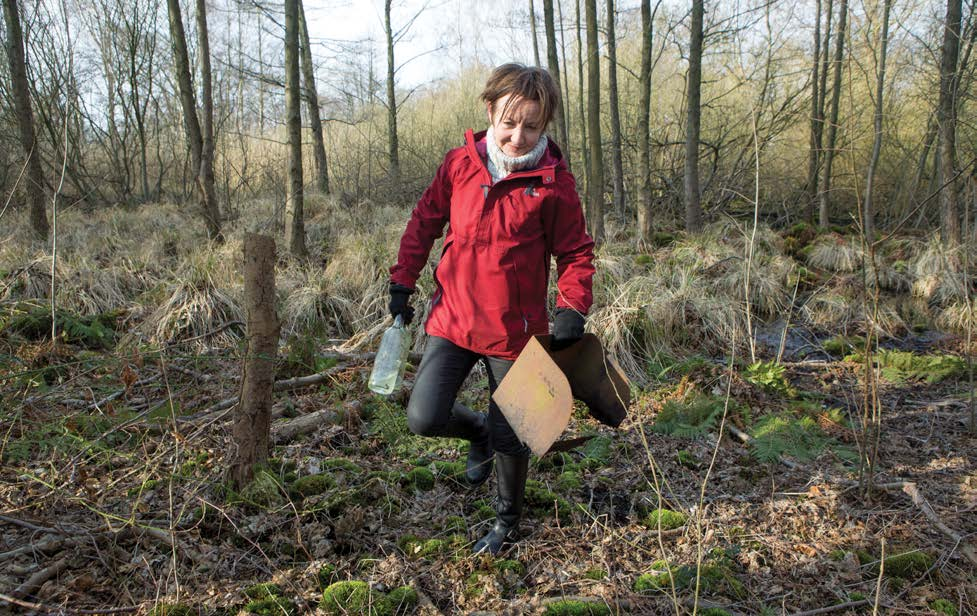 ONSDAG 18 MARS 2015 KÄVLINGE LOMMA STAFFANSTORP B7 LOMMA Helena Björn plockar bort skräp från det blivande naturreservatet. Fantastiskt, säger hon om att det äntligen blir verklighet.