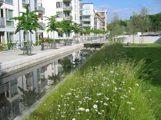 Fakulteten för landskapsplanering, trädgårds- och jordbruksvetenskap Institutionen för landskapsarkitektur, planering och förvaltning Omföring från gräsmatta till äng fördelaktigt i urban och