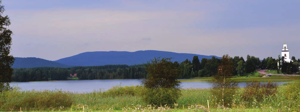 Finnicka Vindkraftsområdet ligger ca 3 km väster om Karskärs fiskeläge, i en ganska flack skogsterräng. Inga riksintressen finns i området. Vissa sumpmarker förekommer i områdets nordvästra del.