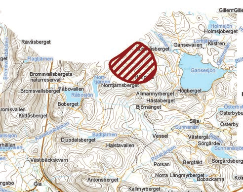 Högås Området ligger va 4,5 km väster om Blacksås i kuperad skogsterräng på bergen Lillås, Stuggåsen och Rännåsen, som i den västra delen är ganska kuperad. I mitten av området finns sumpmarker.
