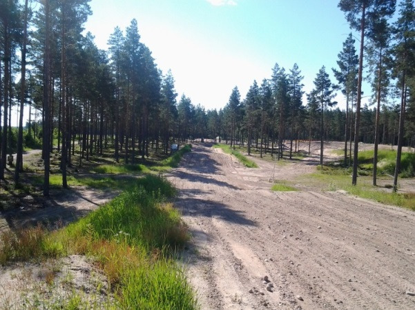 Beskrivning av naturmarken i det område av flygfältet (f.d. F15) som är aktuellt som motorstadion. En inventering av området gjordes under sommaren 2013.