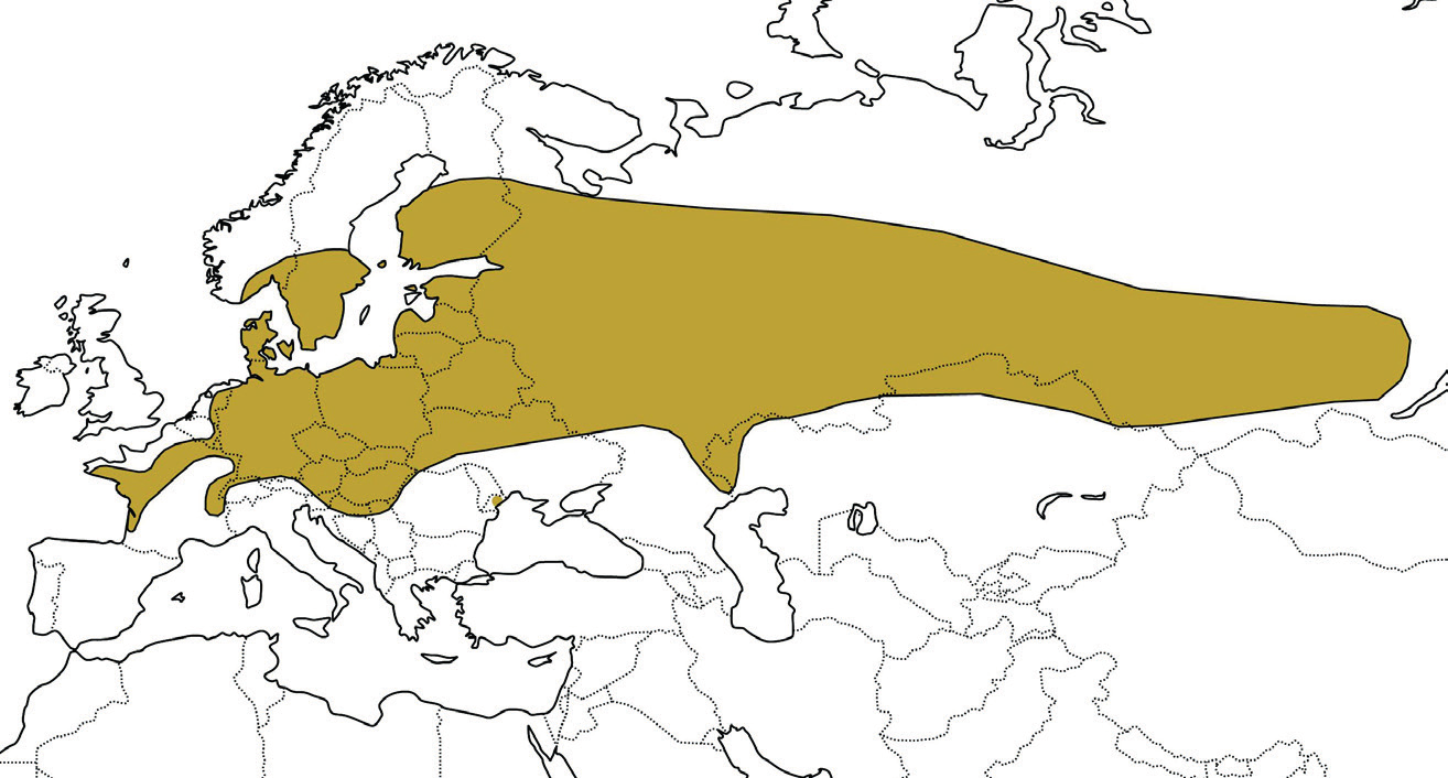 Utbredning och status Bred kärrtrollslända har en nordöstlig utbredning som sträcker sig från Frankrike i väster och till Sibirien i öster.