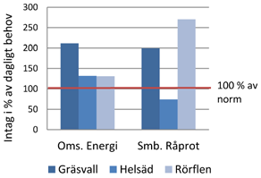 Vilka grovfoder är lämpliga för lågdräktiga dikor? Herefordkor som kommer att ingå i utfodringsförsök på Götala Nöt- och Lammköttscentrum.