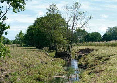 Tommarpsån, öster om Smedstorp 615997, 139404 Våren 2003 hittades ett skal av tjockskalig målarmussla i Tommarpsån vid Smedstorp. Detta var det första fyndet i vattendraget sedan 1870-talet.