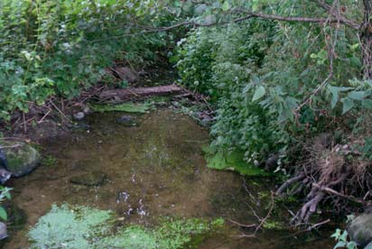 Vallabäck nedströms dämmet vid Brorslund Bråån, Vallabäck sydost Brorslund nedströms vägen 618830, 136776 Mellan Årröd och Ulatofta flyter Vallabäck, ett ca 3 km långt biflöde från ostnordost, samman