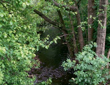 Strömnacke i de övre delarna av Kägleån Kägleån, syd Vantinge 624748, 131668 De översta delarna av Ängeltofta gårds marker omfattas inte av dikningsföretaget.