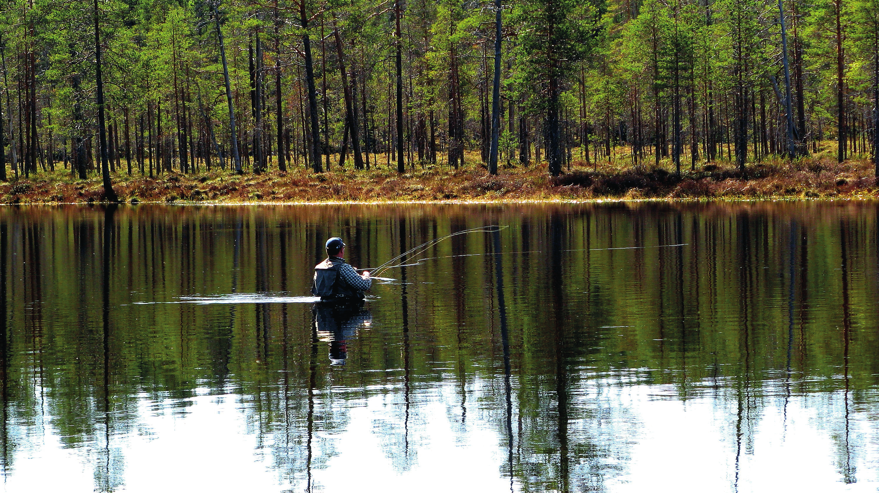 Aqua reports 2014:9 Återetablering av vandrande storöring i övre Österdalälven En genetisk utvärdering av utsättningar