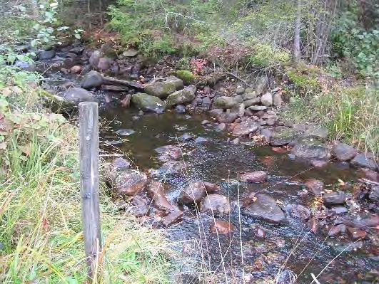 Bottenfauna i Västra Götalands län 13 551. Ryabäcken, Kvarnslätt Datum: 13-1-7 Kommun: Mark Koordinat: 333/359 (sweref 99) 5 m in på lilla grusvägen ca 5-1 m uppstr stora vägen.