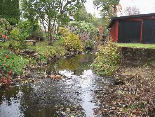 Bottenfauna i Västra Götalands län 13 53. Sandaredsån, Rydet Datum: 13-1- Kommun: Borås Koordinat: 3953/31 (sweref 99) Ca 1 m nedströms bron, -5 m upp/nedströms cementtrappa vid östra stranden.