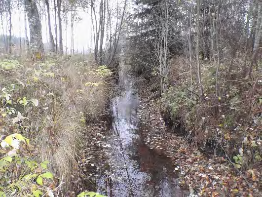 Bottenfauna i Västra Götalands län 13 57. Dalabäcken, Töllsjö Datum: 13-1-17 Kommun: Bollebygd Koordinat: 5/3573 (sweref 99) Ca 5 m uppströms inflödet i Nolån.