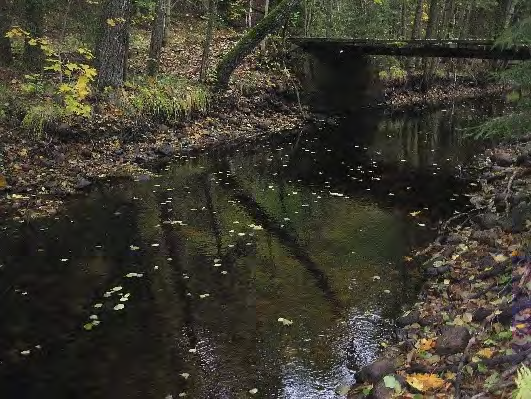 Bottenfauna i Västra Götalands län 13 571. Lindomeån, Inseros Datum: 13-1-7 Kommun: Mölndal Koordinat: 31/33 (sweref 99) -1 m nedströms träbron.