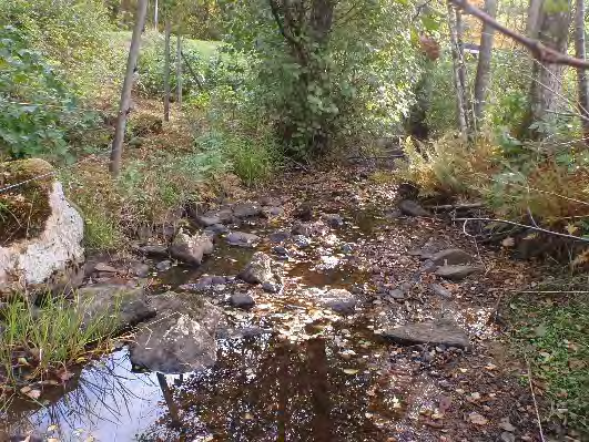 Bottenfauna i Västra Götalands län 13. Hjällnäsbäcken, Hjällsnäs Datum: 13-1- Kommun: Alingsås Koordinat: 7719/3793 (sweref 99) 3-13 m nedströms vägtrumma, direkt efter elstängsel.